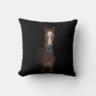 Cute pretty foal horse black background cushion
