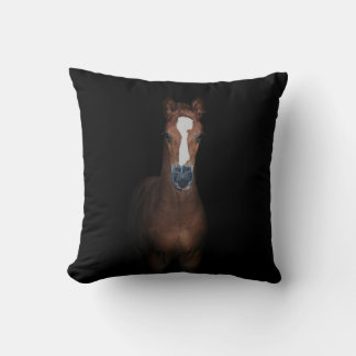 Cute pretty foal horse black background cushion