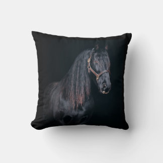 Cute pretty foal horse black background cushion