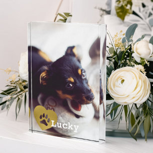 Cute Printed Gold Paw Print Pet Photo