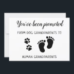 Cute Promoted From Dog Grandparents Pregnancy Announcement<br><div class="desc">You've been promoted from Dog grandparents to Human grandparents! Include your best dog in your pregnancy announcement to your parents, the new baby grandparents with this adorable dog pregnancy announcement card. “You've been promoted from Dog grandparents to Human grandparents... Personalise with Baby Last Name and Your Month/Date 20xx. and personal...</div>