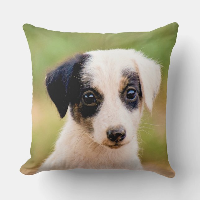 Cute Pu Cushion (Front)