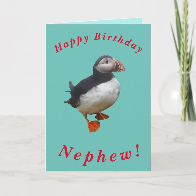 Cute Puffin Birthday Card for Nephew (Front)