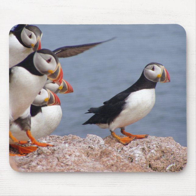 Cute Puffins Mousepad (Front)