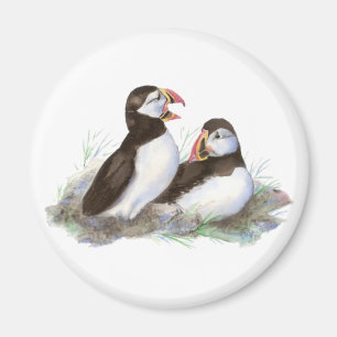 Cute Puffins, Ocean Bird, Beach, Nature Magnet