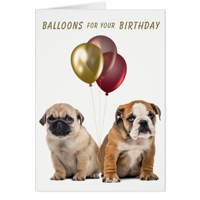 Cute Pug and Bulldog Puppies Birthday Card (Front)