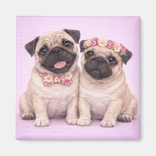 Cute Pug Couple Valentine Illustration  Magnet