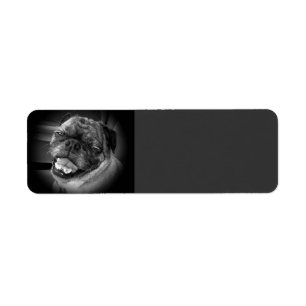 Cute Pug Dog Avery Label