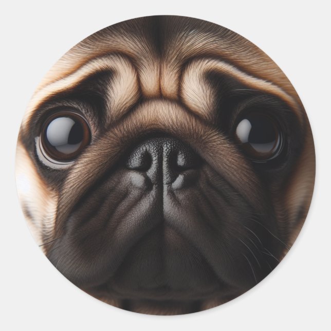 Cute Pug Face Pug Dogs Classic Round Sticker (Front)