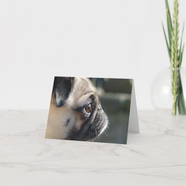 Cute Pug Profile Note Card - Blank (Front)