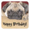Cute Pug Puppy Birthday Wish
