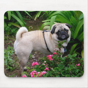 Cute Pug Puppy Dog In Flower Garden Mouse Pad