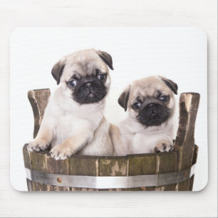 Cute Pug Puppy Dog in Wooden Crate Barrel Mousepad