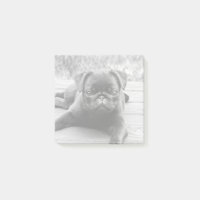 Cute Pug Puppy Dog Lover Black and White Photo