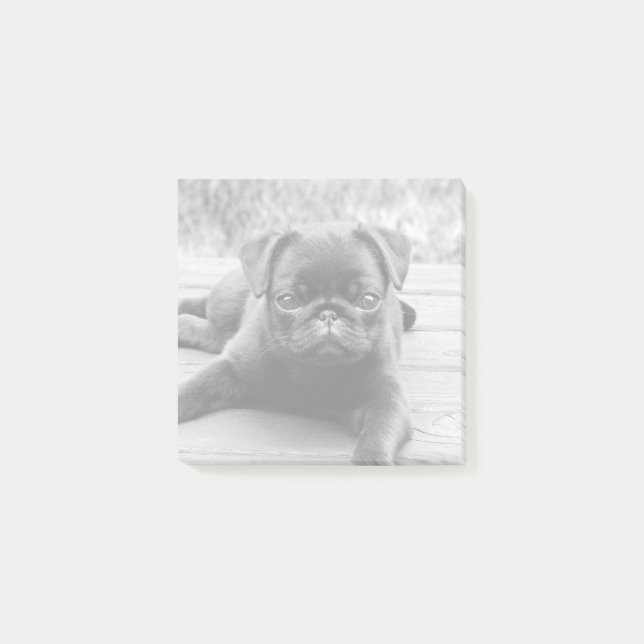 Cute Pug Puppy Dog Lover Black and White Photo Post-it Notes (Front)