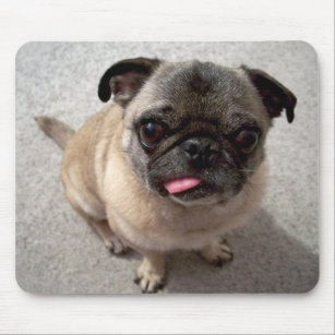 Cute Pug Puppy Dog Sticking Tongue Out Mousepad