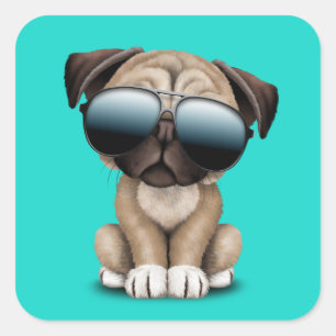 Cute Pug Puppy Dog Wearing Sunglasses Square Sticker