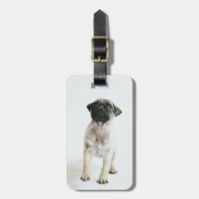 Cute Pug Puppy Luggage Tag (Front Vertical)