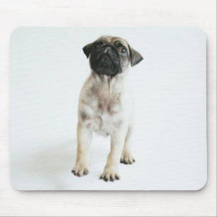 Cute Pug Puppy Mouse Pad