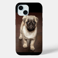 Cute Pug Puppy Photo