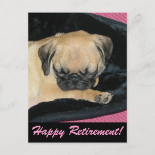Cute Pug Puppy Postcard