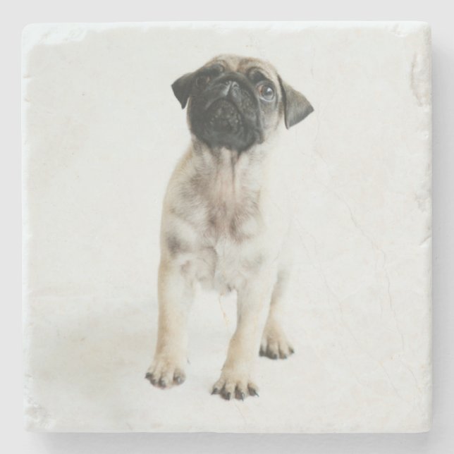 Cute Pug Puppy Stone Coaster (Front)