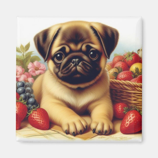 Cute Pug Vintage Painting Magnet (Front)