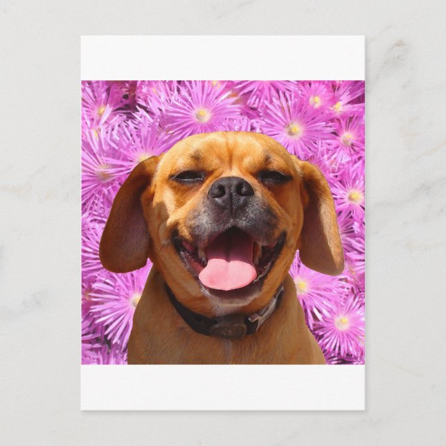 Cute Puggle Postcard (Front)