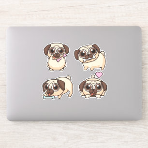 Cute Pugs