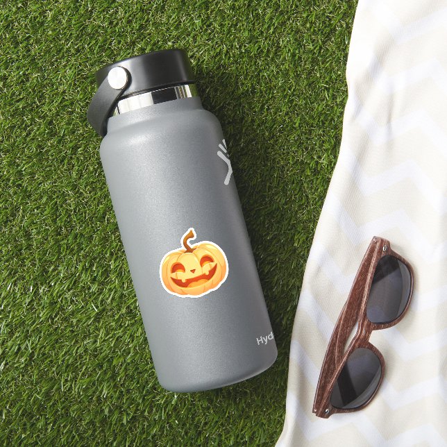 Cute Pumpkin Jack O Lantern Turtle Sea Halloween C (HydroFlask Insitu)
