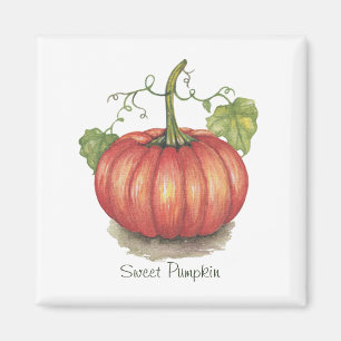 Cute Pumpkin With Vines In Watercolor Magnet
