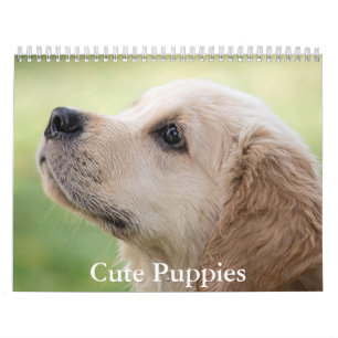 Cute Puppies Calendar