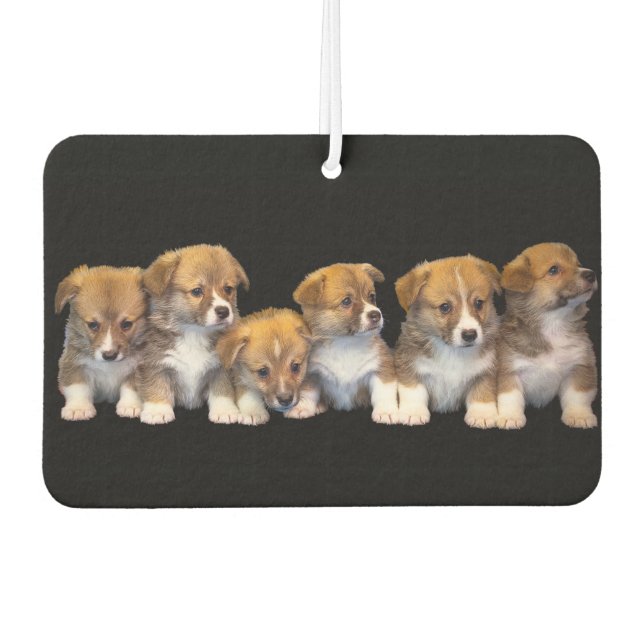 Cute Puppies Car Air Freshener (Front)