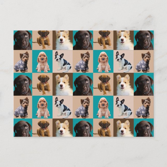 Cute Puppies Dogs Animals Collage Postcard (Front)
