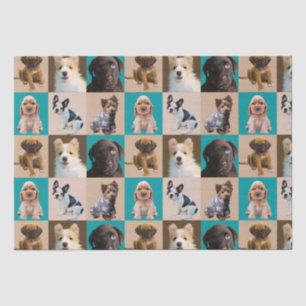 Cute Puppies Gift for Dog Lovers Animal Gift Tissue Paper