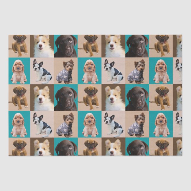 Cute Puppies Gift for Dog Lovers Animal Gift Tissue Paper (Front)
