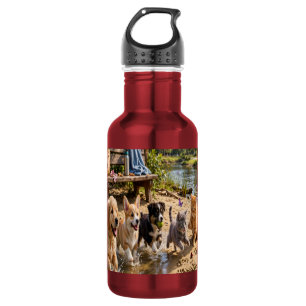 Cute Puppies & Kittens Riverside Adventure 532 Ml Water Bottle