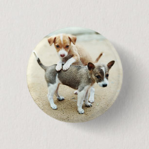 Cute Puppies Playing on Beach 3 Cm Round Badge