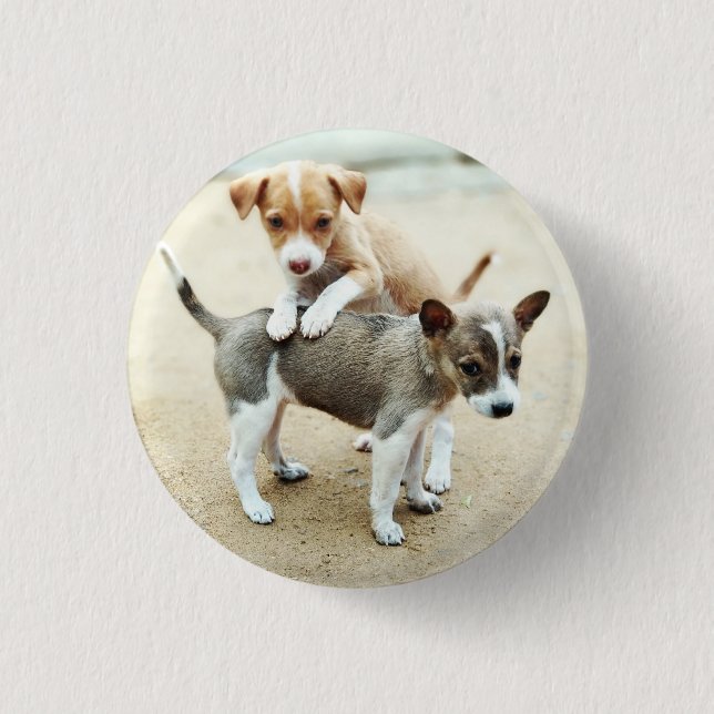 Cute Puppies Playing on Beach 3 Cm Round Badge (Front)
