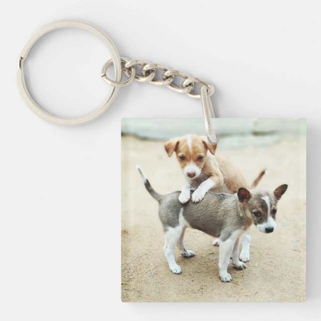 Cute Puppies Playing on Beach Key Ring (Front)