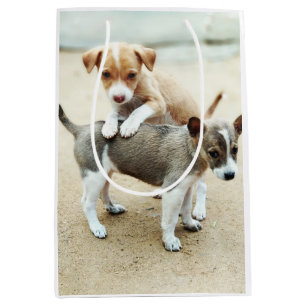 Cute Puppies Playing on Beach Medium Gift Bag