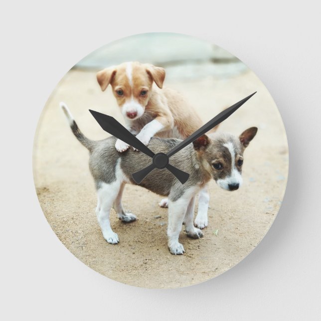 Cute Puppies Playing on Beach Round Clock (Front)
