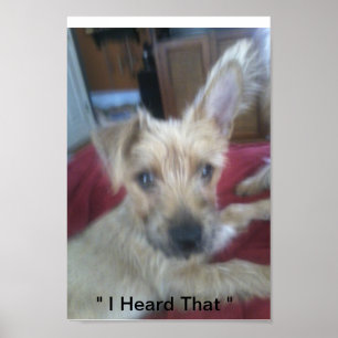 cute puppies poster