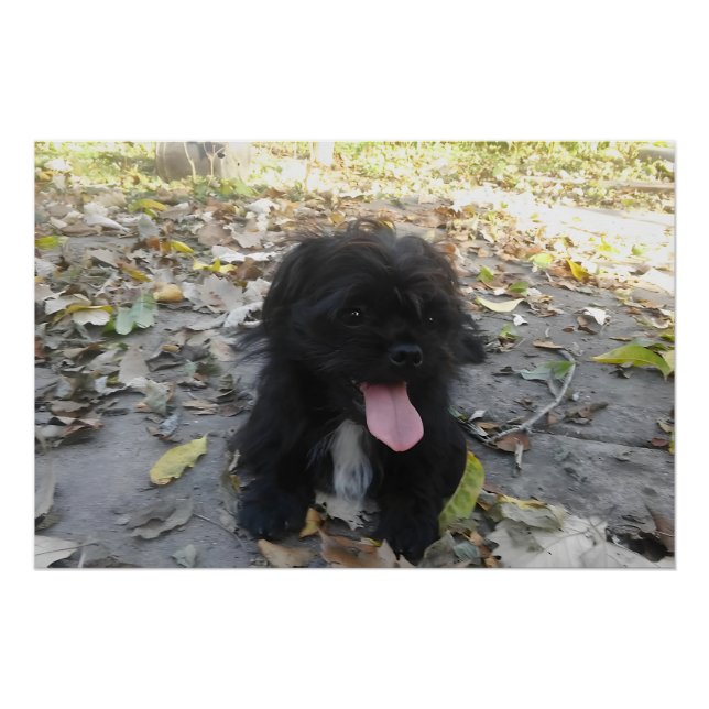 Cute Puppy Alert Poster (Front)