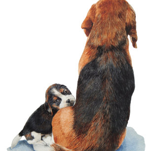 Cute puppy beagle with mum dog
