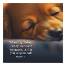 Cute Puppy Bible
