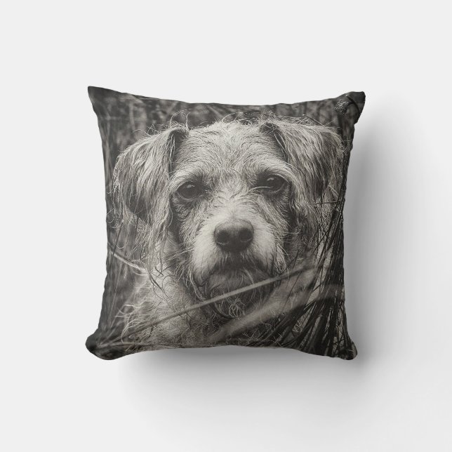 Cute Puppy Black and Whie Portrait Photograph Cushion (Front)