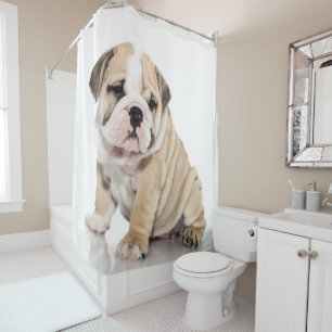 Cute Puppy Bulldog Sad Shower Curtain