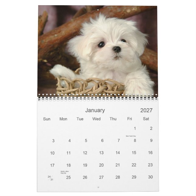 Cute Puppy Calendar (Jan 2027)