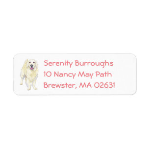 Cute Puppy Cartoon Dog Mum Golden Retriever